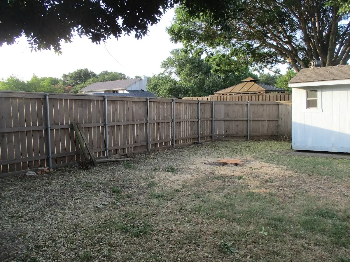 Cleared yard after professional tree removal in Baldwin