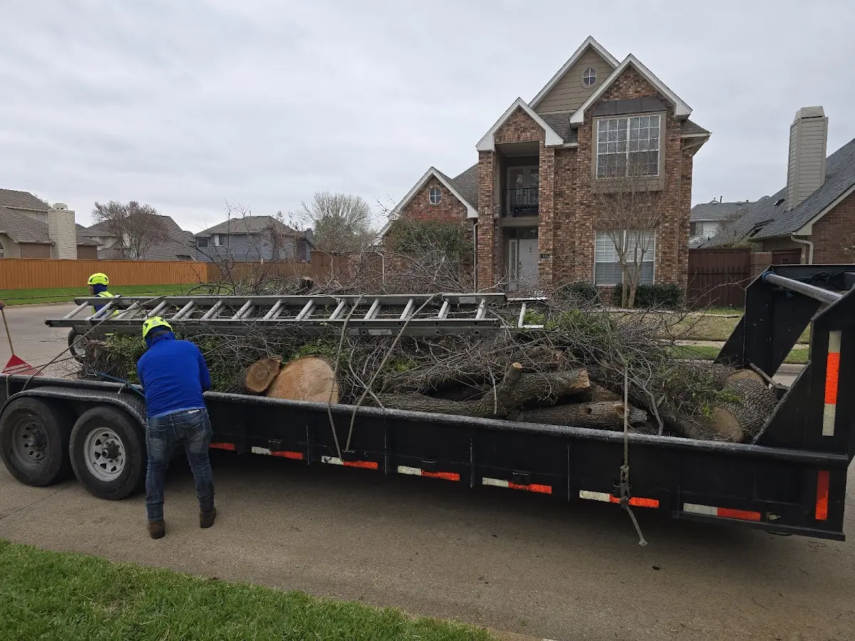 Expert Tree Fertilization with proper safety equipment in Baldwin